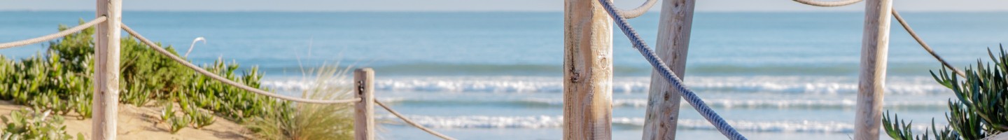 strand duinen.jpg
