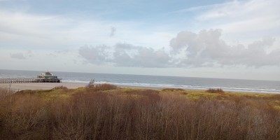 Vakantie_Studio_Zeezicht-Duinenzicht_terras_Poseidon_173C (3).jpg