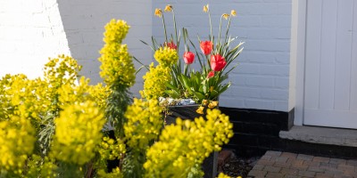 La_Bouriette_Villa_te_Huur_Vakantie_Koksijde (22).jpg