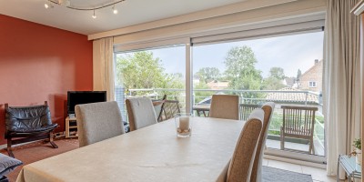 Parnassius_0102_location_de_vacances_Koksijde (23).jpg