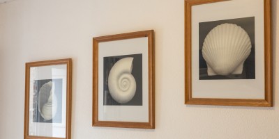 Ravenna02.04_location_de_vacances_Saint_Idesbald(10).jpg