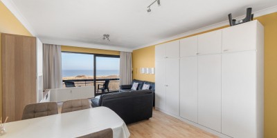 Vakantie_Studio_zeezicht_duinenzicht_terras_Poseidon_173C (18).jpg