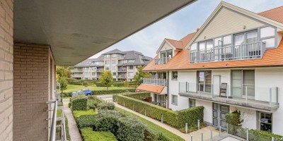 Parnassius_0102_location_de_vacances_Koksijde (49).jpg