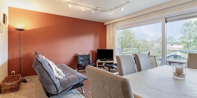 Parnassius_0102_location_de_vacances_Koksijde (25).jpg