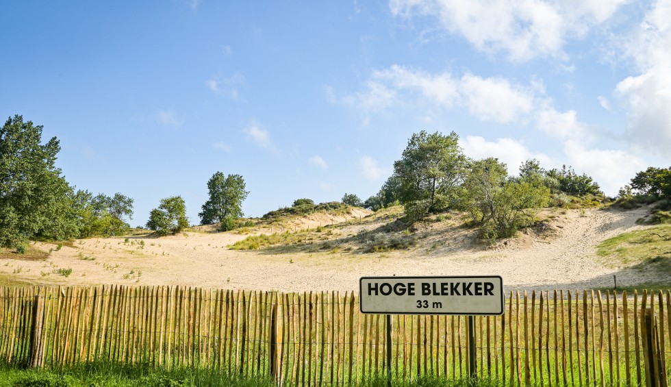 Hoge Blekker in Koksijde