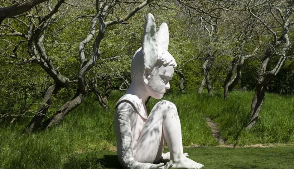 Duinbossen in Wenduine