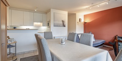 Parnassius_0102_location_de_vacances_Koksijde (21).jpg