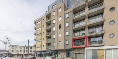 Walter_Vilain01.05_location_de_vacances_Saint_Idesbald(17).jpg