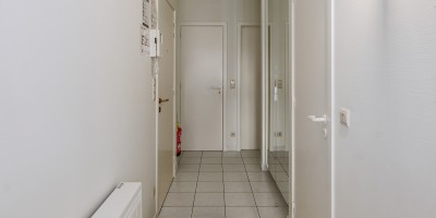Sun Set II B1 _ locations_ louer_appartement_rez_de_chaussé (21).jpg