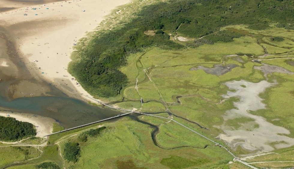 natuurfoto_vedronken_zwarte_polder_cadzand.jpg
