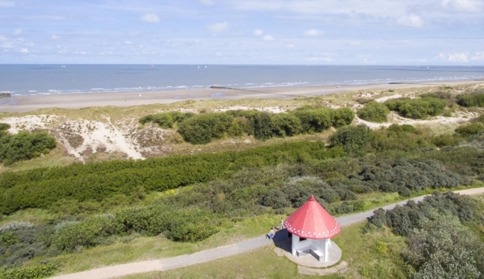duinenpaviljoentje.jpg