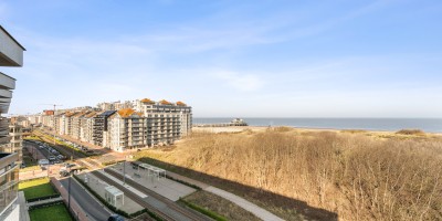 Vakantie_Studio_zeezicht_duinenzicht_terras_Poseidon_173C (12).jpg