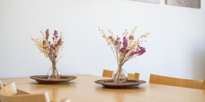 Neptune_3V_2_slaapkamers_zeezicht_Zeedijk_Wenduine (12).jpg