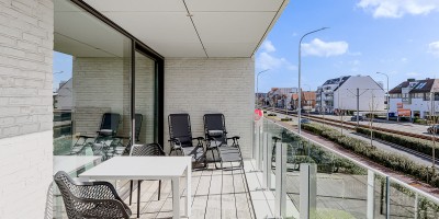 Jan Turpin 0201 Albert I Laan 008.jpg