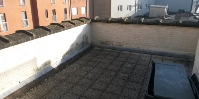 calypso 2601 terras achter.jpg