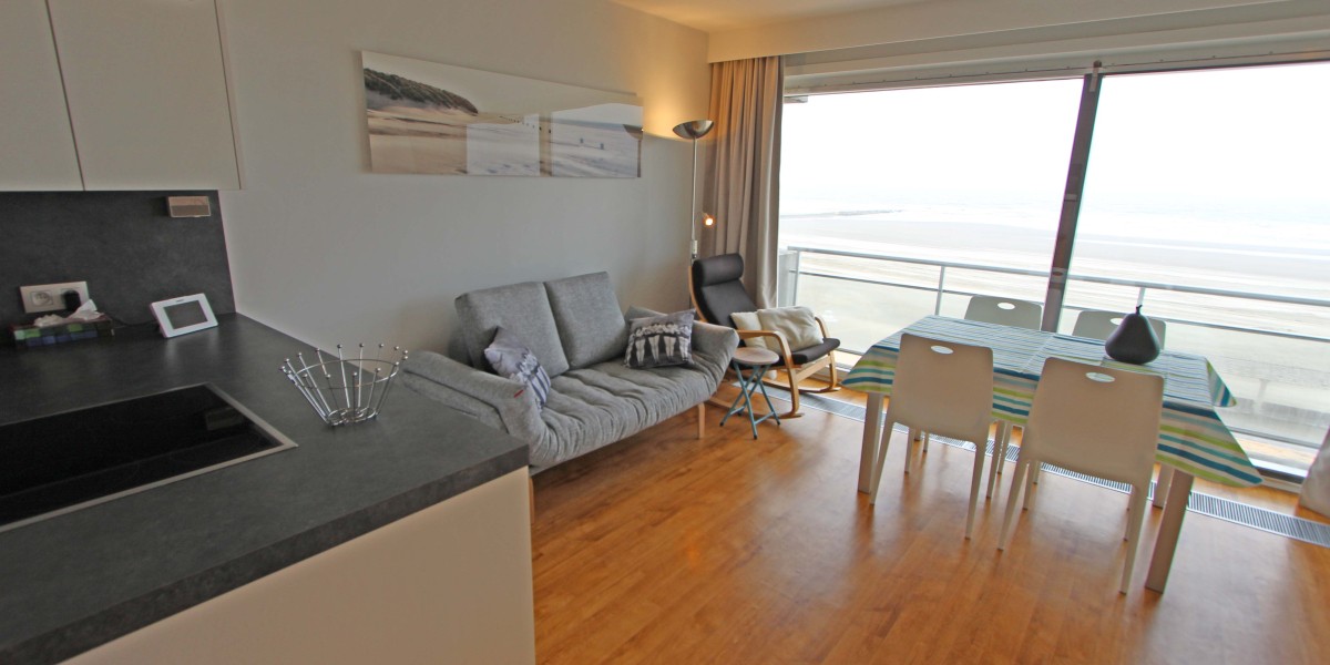 Vierboete0304_studio_zeedijk_huren_Nieuwpoort_4.JPG