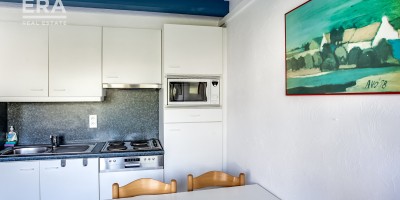 Meero-4061_watermarked 518.5.jpg