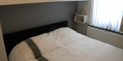 bosq 051.JPG