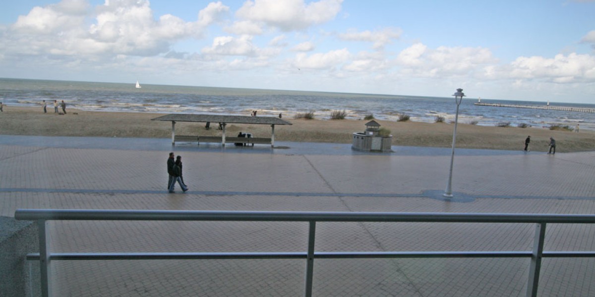 IMG_0930.JPG