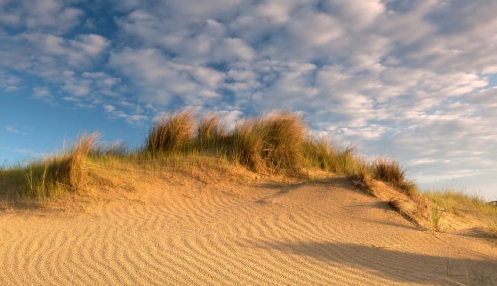 natuurdomein de westhoek in de panne