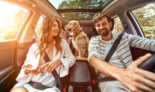 auto hond familie sh