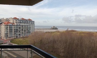 Vakantie_Studio_Zeezicht-Duinenzicht_terras_Poseidon_173C (1).jpg