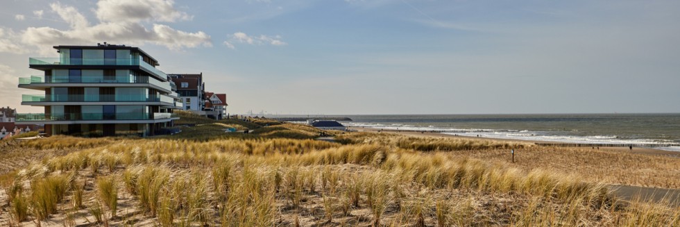 blog_cadzand_voorpagina_2.0.jpg