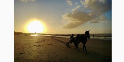 Het Anker 2023 vakantieverhuring Oostduinkerkje (4).jpeg