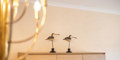 Gouden_Boom_0383_vakantieverhuur_Koksijde (60).jpg