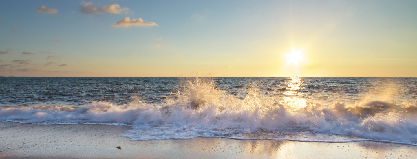 ontdek onze bestemmingen aan de belgishe kust servimoholidays