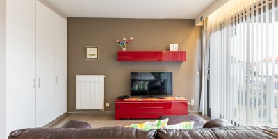 Mascotte01.10_location_de_vacances_Saint_Idesbald(2).jpg