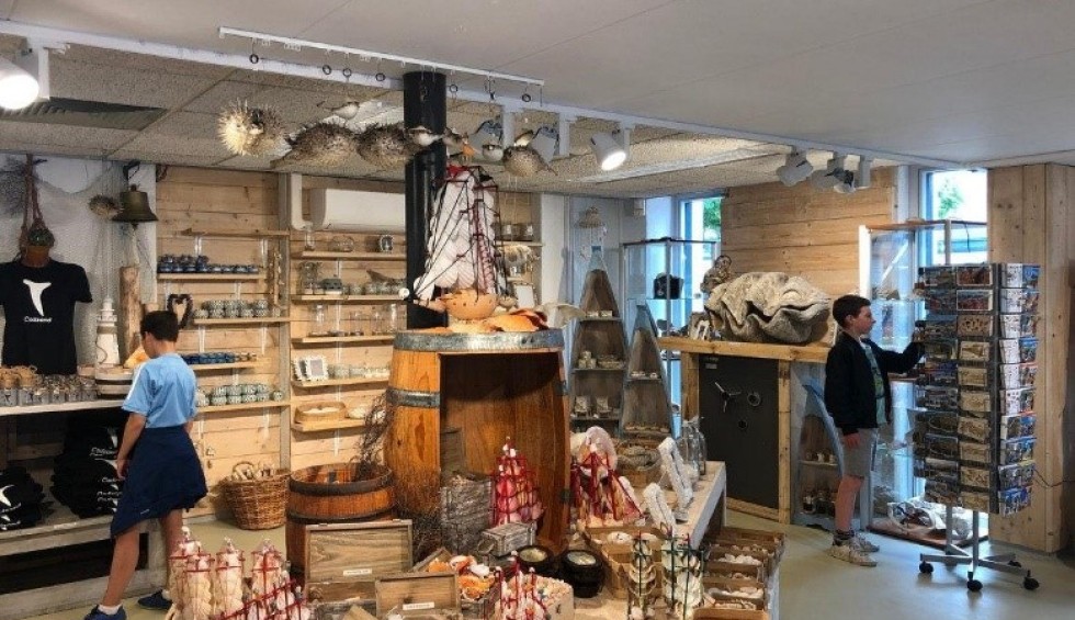 interieur_winkel_cadzand.jpg