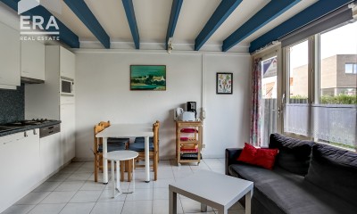 Meero-4069_watermarked 518.12.jpg
