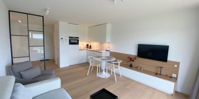 Riverside0303_studio_havengeul_huren_zongericht_Nieuwpoort_3.jpg
