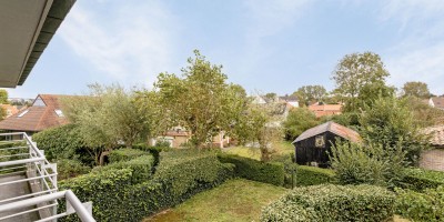 Parnassius_0102_location_de_vacances_Koksijde (61).jpg