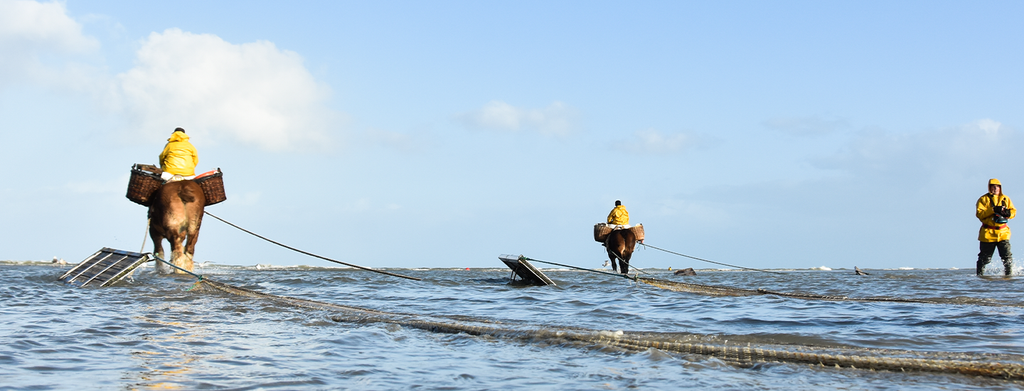vakantie in oostduinkerke servimoholidays garnaalvissers vissers te paard