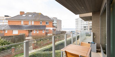 Mascotte01.10_location_de_vacances_Saint_Idesbald(20).jpg