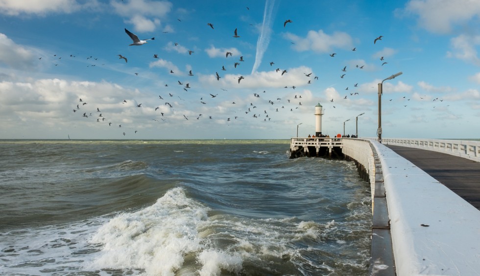 staketsel in nieuwpoort havengeul