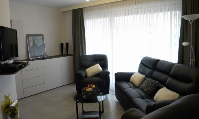 bosq 035.JPG