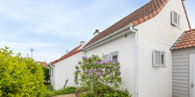 ostkust Vosseslag 82_ De Haan 91 - 8.jpg
