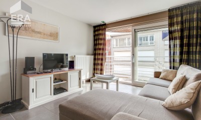 chat_02.02_location_de_vacances_Koksijde  (1).jpg