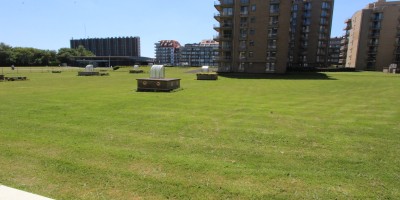 IMG_1129.JPG