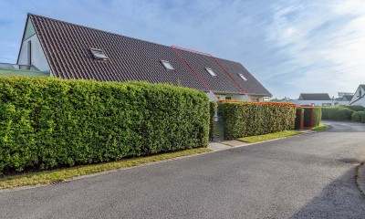 Nieuwendamme 18 _DornƩ Bernard_004.jpg