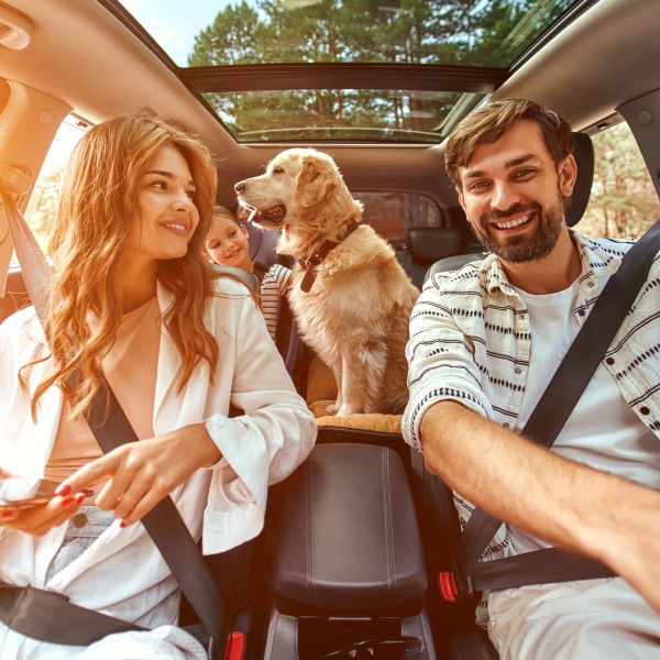 auto hond familie sh.jpg