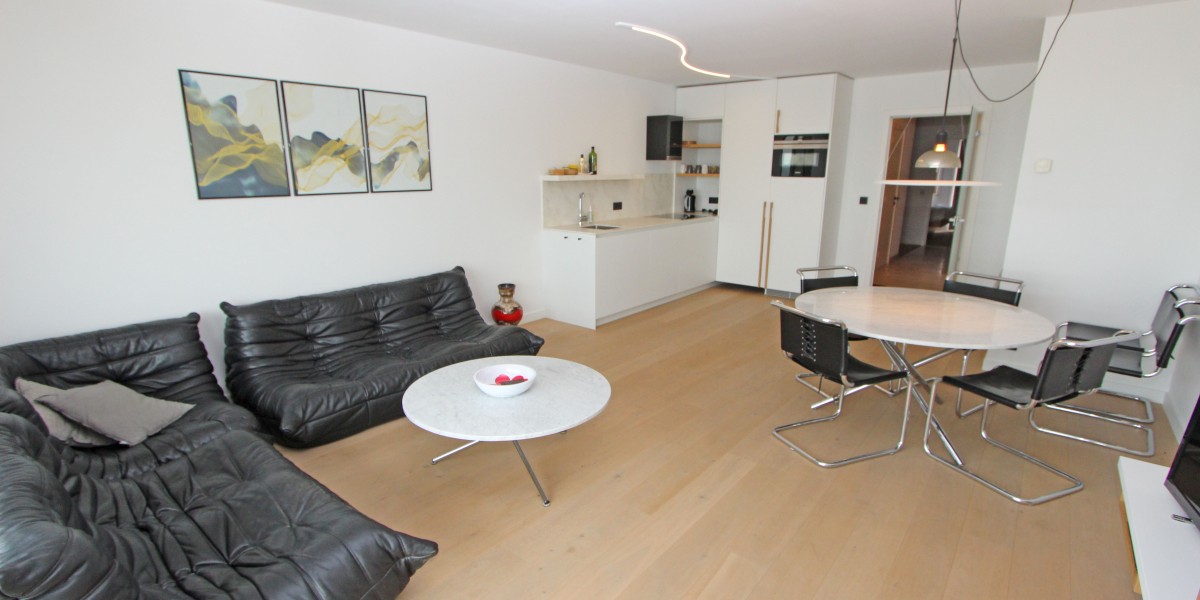 Kraaienest0702_te_huur_zeedijk_Nieuwpoort_1.JPG