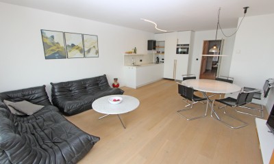 Kraaienest0702_te_huur_zeedijk_Nieuwpoort_1.JPG